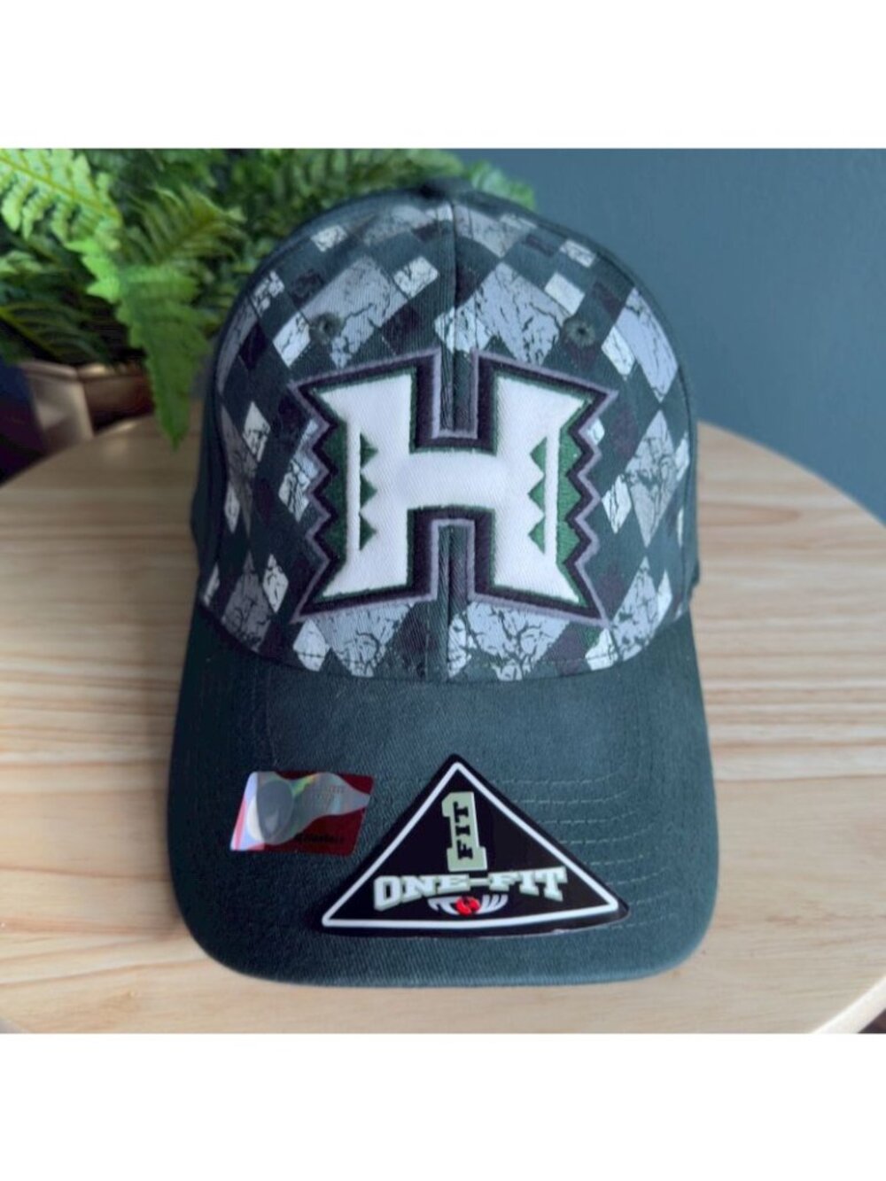 Top Of The World Hawaii University Rainbow Warriors Dk Green Hat Cap One Fit